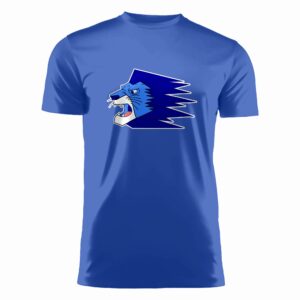 Tekninen T-paita / Akaa Futsal