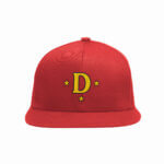 Snapback-lippis / Diskos